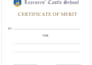 create premium achievement certificate designs